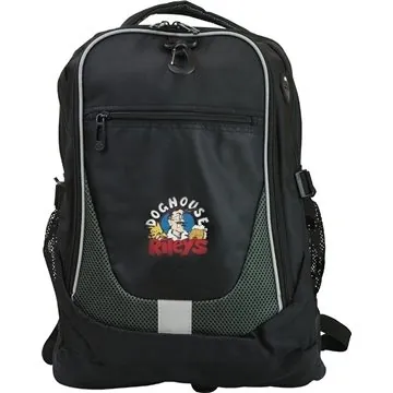 Comfortable Padded Laptop Backpack for Travel